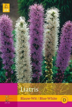 2 stuks 10 Liatris Blauw-Wit