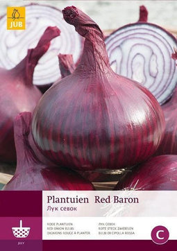 2 stuks 250 Gr Plantuien Red Baron