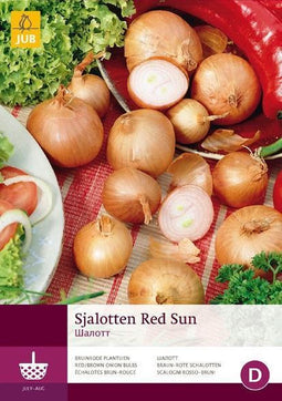 2 stuks 250 Gr Sjalotten Red Sun