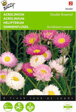 2 stuks Acrolinium dubbelbloemig gemengd