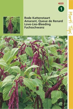 2 stuks Amaranthus Caudatus Rood