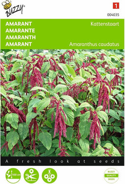 2 stuks Amaranthus, Kattenstaart rood