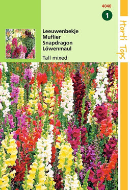 2 stuks Antirrhinum Majus Maximum Gemengd