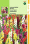 2 stuks Antirrhinum Majus Maximum Gemengd