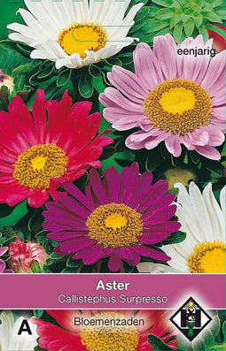 2 stuks Aster chinensis SurpressoVan Hemert & Co