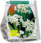 2 stuks - Baltus - Allium Neapolitanum per 100