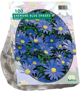 2 stuks - Baltus - Anemone Blanda Blauw per 100
