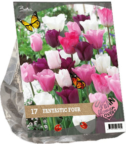 2 stuks - Baltus - Urban Flowers Fantastic Four per 17