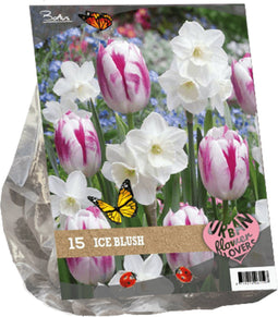 2 stuks - Baltus - Urban Flowers Ice blush per 15