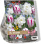 2 stuks - Baltus - Urban Flowers Ice blush per 15