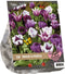 2 stuks - Baltus - Urban Flowers Proud & Purple per 18