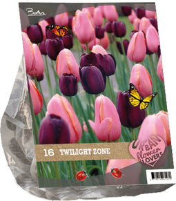 2 stuks - Baltus - Urban Flowers Twilight zone per 16