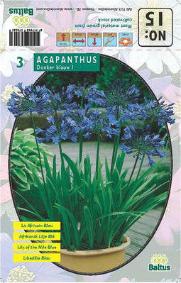 2 stuks - Baltus - Zomer Bloembollen Agapanthus, Donkerblauw per 3