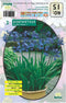 2 stuks - Baltus - Zomer Bloembollen Agapanthus, Donkerblauw per 3