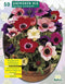 2 stuks - Baltus - Zomer Bloembollen Anemone de Caen, Mix per 30