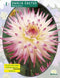 2 stuks - Baltus - Zomer Bloembollen Dahlia Cactus Hayley Jane per 1