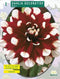 2 stuks - Baltus - Zomer Bloembollen Dahlia Decoratief Duet per 1