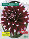 2 stuks - Baltus - Zomer Bloembollen Dahlia Decoratief Mistery Day...
