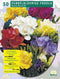 2 stuks - Baltus - Zomer Bloembollen Freesia Double, Mix per 50