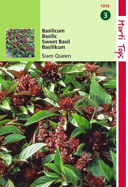 2 stuks Basilicum Siam Queen