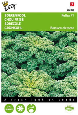 2 stuks Boerenkool Reflex F1 (wordt Winterbor F1)