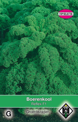 2 stuks Boerenkool Reflex F1Van Hemert & Co