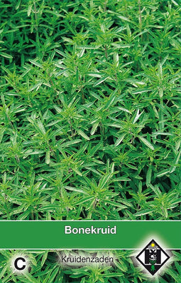 2 stuks Bonekruid SaturejaVan Hemert & Co