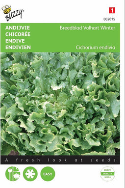 2 stuks - Buzzy - Andijvie Breedblad Volhart Winter