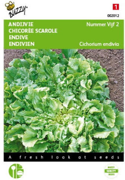 2 stuks - Buzzy - Andijvie Nummer Vijf