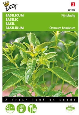2 stuks - Buzzy - Basilicum Fijne