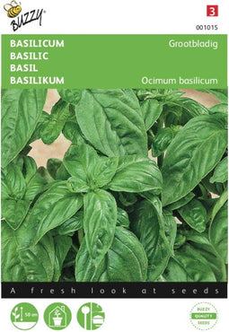 2 stuks - Buzzy - Basilicum Grove