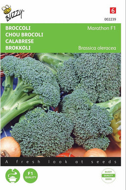 2 stuks - Buzzy - Broccoli Southern Comet F1