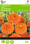 2 stuks - Buzzy - Calendula Officinalis Dubbelbl.Ball S Oranje