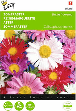 2 stuks - Buzzy - Callistephus Chinensis Enkelbl. Gem.