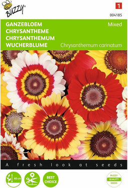 2 stuks - Buzzy - Chrysanthemum Carinatum Gemengd