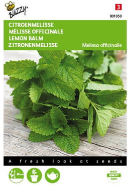 2 stuks - Buzzy - Citroenmelisse