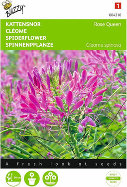 2 stuks - Buzzy - Cleome Spinosa Rose Queen