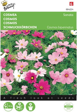 2 stuks - Buzzy - Cosmea Sonate Gemengd