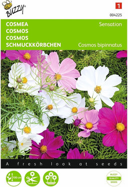 2 stuks - Buzzy - Cosmos Sensation Gemengd