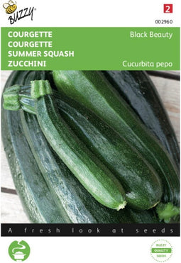 2 stuks - Buzzy - Courgette Black Beauty Verte De Milan
