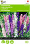 2 stuks - Buzzy - Delphinium consolida Imperial Gemengd