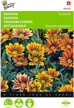 2 stuks - Buzzy - Gazania Splendens Hybrida Sunshine Gemengd