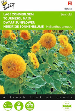 2 stuks - Buzzy - Helianthus Annuus Sungold Dubbelbl. Laag