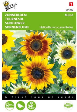 2 stuks - Buzzy - Helianthus Cucumerifolius Gemengd