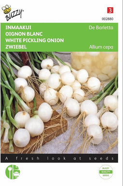 2 stuks - Buzzy - Inmaakuien Barletta St.Jans