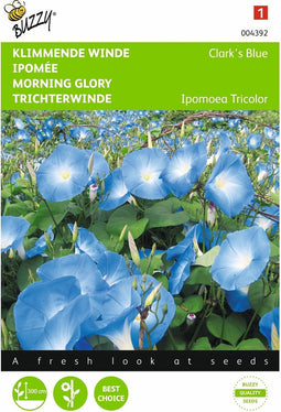 2 stuks - Buzzy - Ipomoea Tricolor Rubro C. Clark S Blue