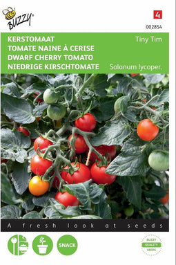 2 stuks - Buzzy - Kerstomaat Tiny Tim