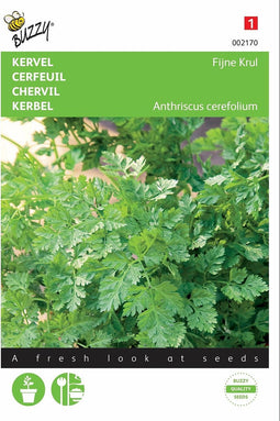 2 stuks - Buzzy - Kervel Fijne Krul