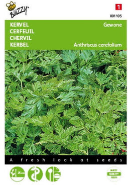 2 stuks - Buzzy - Kervel Gewone