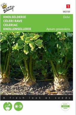 2 stuks - Buzzy - Knolselderie Dolvi, Verb. Prager Reuzen